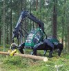 logging-spider.jpg