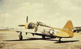 P-47_Thunderbolt_IA-N_44-33240_Tarheel_Hal_of_the_356th_Fighter_Squadron_358th_Fighter_Group.jpg