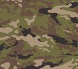 Camo 2.jpg
