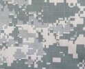 Camo 4.jpg