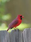 IMG_3643.JPG