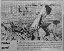 2705_accident_1979_newspaperNLX.jpg