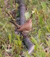 IMG_3676.JPG