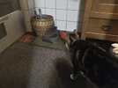 IMG_7530.jpeg