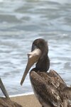 DSC_3034.jpg