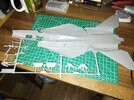 20250529_041225.jpg 20250529_041225.jpg
