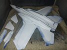 20250608_143135.jpg