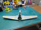 PXL_20250618_162142871.jpg
