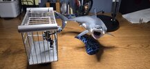 20250701_094958.jpg