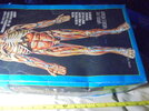 DSC02128.JPG DSC02128.JPG