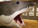 20180606_143731.jpg