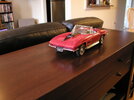 P1010057.JPG