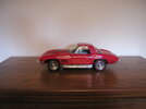 P1010014.JPG