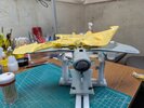 PXL_20250808_171717451.jpg