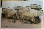 IMG_2955.jpeg