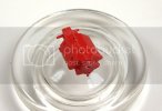 3-18-12smarust014.jpg 3-18-12smarust014.jpg