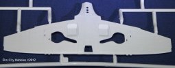 006LowerWingCloseup-vi.jpg 006LowerWingCloseup-vi.jpg