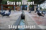 Stay-on-target-random-19147366-500-334.jpg