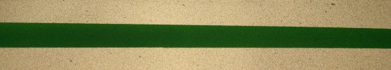 VallejoTransGreen-vi.jpg