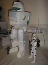 AFSPictures008.jpg AFSPictures008.jpg