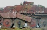 Octo-Hetzer10.jpg