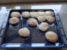 muffin.jpg muffin.jpg