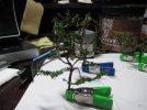 20110424_2.jpg