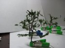 20110424_4.jpg