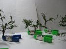 20110424_5.jpg