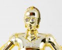 c3po_0081.jpg