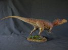 shane-foulkes-torvosaurus.jpg