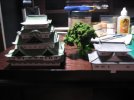 20110521_1.jpg