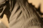 20110605_50.jpg
