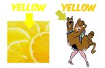 YELLOW.jpg