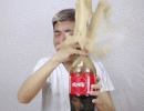 shebao-coke.gif