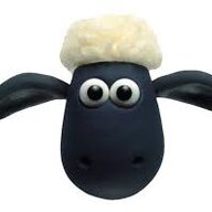 Andy the Sheep