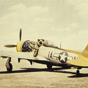 P-47_Thunderbolt_IA-N_44-33240_Tarheel_Hal_of_the_356th_Fighter_Squadron_358th_Fighter_Group.jpg