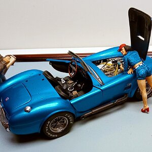 CRCobra.jpg.ef6fae4a8eb572aa76a37a3ed7482d55.jpg