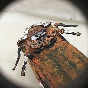 IMG_7618.jpeg