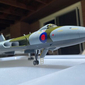 IMG_6906.jpeg