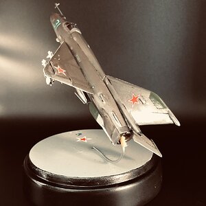 IMG_7003.jpeg