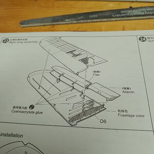 20250430_182415.jpg