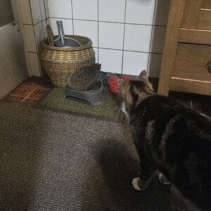 IMG_7530.jpeg