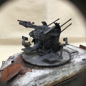 IMG_8895.jpeg