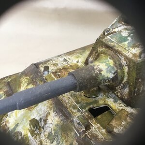 IMG_9536.jpeg