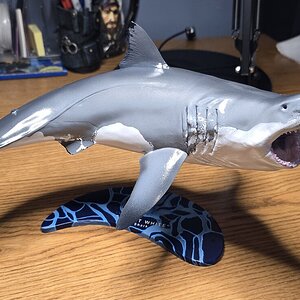 20250701_094919.jpg