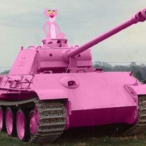 The PINK Panther.jpeg