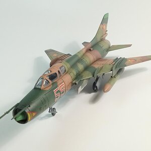 thumbnail (57).jpg