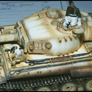 dctiger-2.jpg