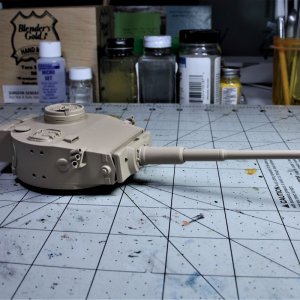 Tiger1 18.JPG